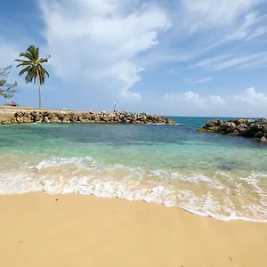 https://jamaica-time-driftwood-at-sea-palms-3br-3ba-condo-in.hotelsochorios.net